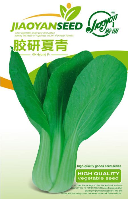 胶研夏青——油菜